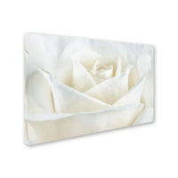 Zaštitni znak likovna umjetnost 'čista bijela ruža' platno umjetnost Cora Niele