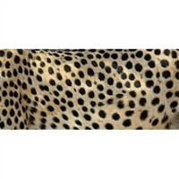Izbliza mrlja na plakatu geparda, tiskano - 12