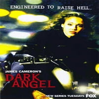 Dark Angel filmski plakat 11 17 stil b
