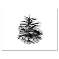 DesignArt 'Conifer konus crno -bijelo' Tradicionalno platno zidno umjetnički tisak