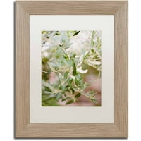 Zaštitni znak likovna umjetnost 'Olive Branch' platno umjetnost Ariane Moshayedi, bijela mat, okvir breze