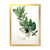 DesignArt 'drevni botanički proizvodi xx' tradicionalni uokvireni umjetnički tisak