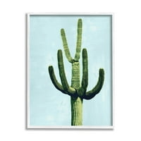 Biljka kaktus sušna vegetacija botanička i cvjetna grafika umjetnički tisak u bijelom okviru zidna umjetnost