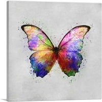Rainbow Šarena leptir krila Insect Canvas Art Print - Veličina: 12 12