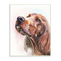 Stupell Industries irski setter pse kućne ljubimce akvarel akvarela zidna ploča umjetnost George Dyachenko